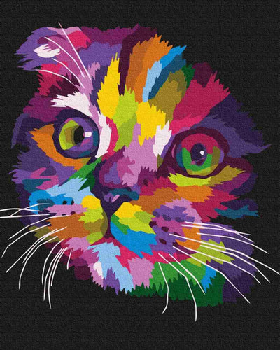 Paint by Numbers DIY - Rainbow Kitten