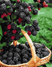 Load image into Gallery viewer, Paint by Numbers DIY - Ripe Blackberry
