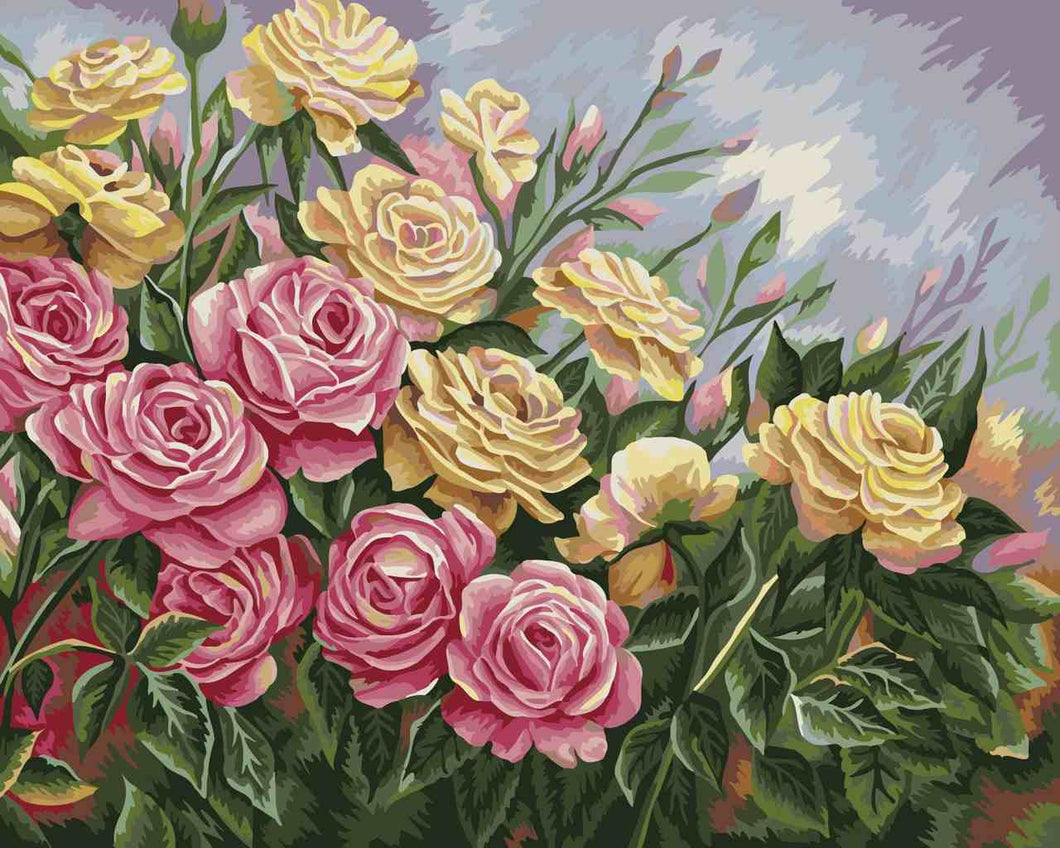 Paint by Numbers DIY - Roses
