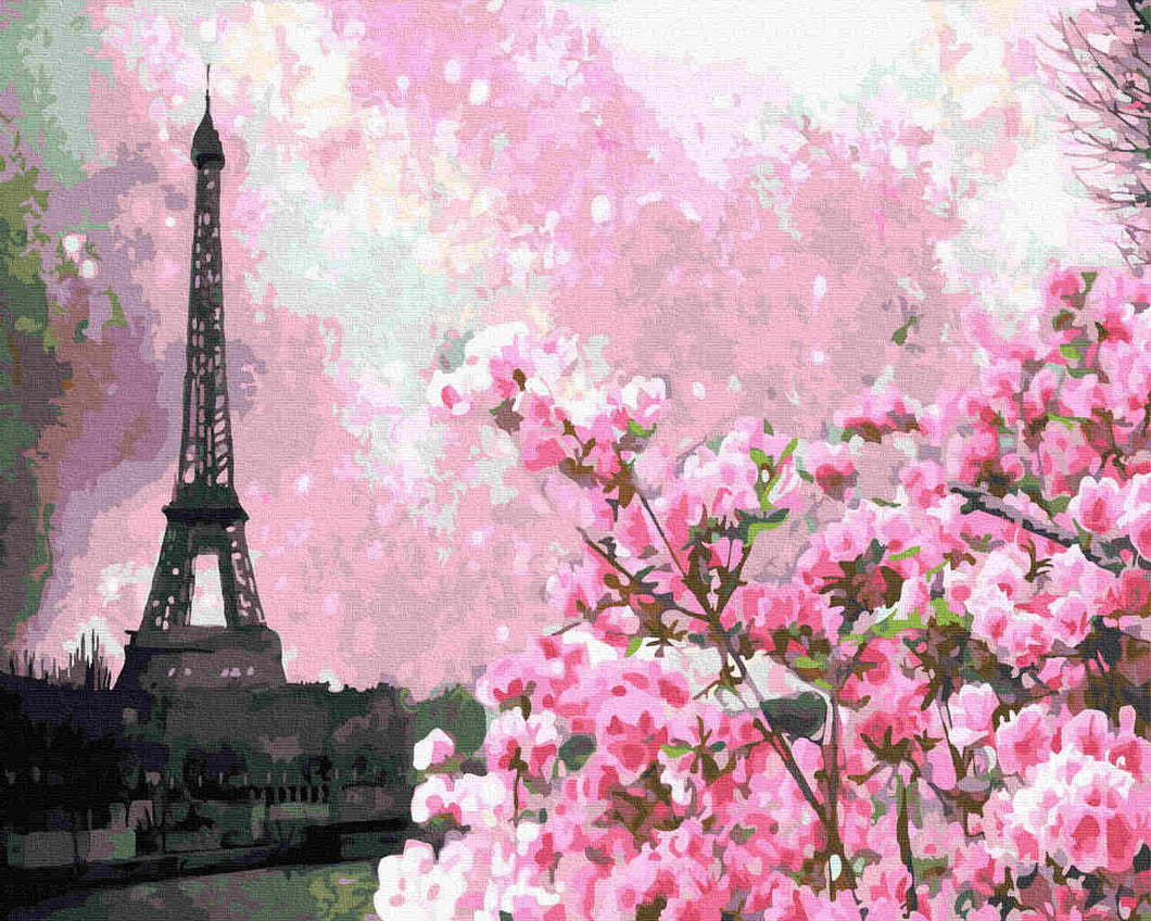 Paint by Numbers DIY - Sakura flowers in Paris