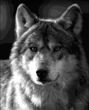Load image into Gallery viewer, Paint by Numbers DIY - Silver Wolf

