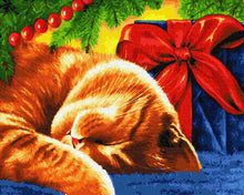 Load image into Gallery viewer, Paint by Numbers DIY - Sleepy Cat
