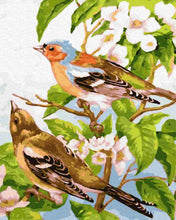 Load image into Gallery viewer, Paint by Numbers DIY - Spring birds
