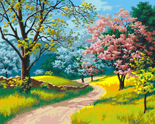Load image into Gallery viewer, Paint by Numbers DIY - Spring in Bloom
