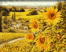 Load image into Gallery viewer, Paint by Numbers DIY - Sunlit fields
