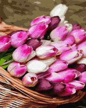 Load image into Gallery viewer, Paint by Numbers DIY - Tulp Basket
