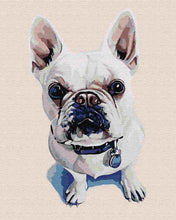Load image into Gallery viewer, Paint by Numbers DIY - White Bulldog
