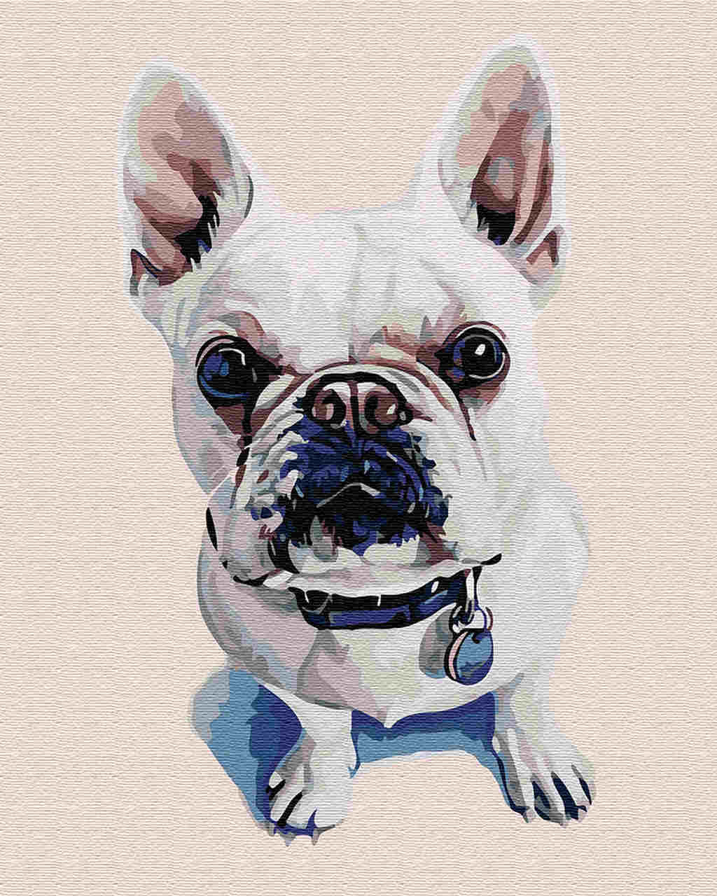 Paint by Numbers DIY - White Bulldog