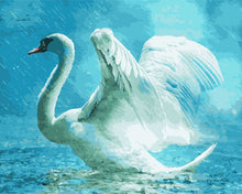 Load image into Gallery viewer, Paint by Numbers DIY - White Swan
