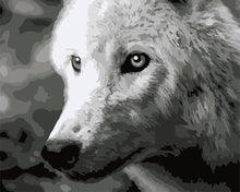 Load image into Gallery viewer, Paint by Numbers DIY - White Wolf
