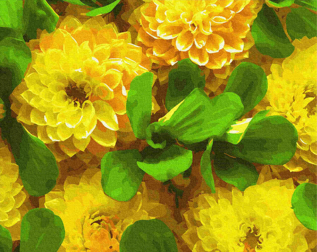 Paint by Numbers DIY - Yellow Dahlias