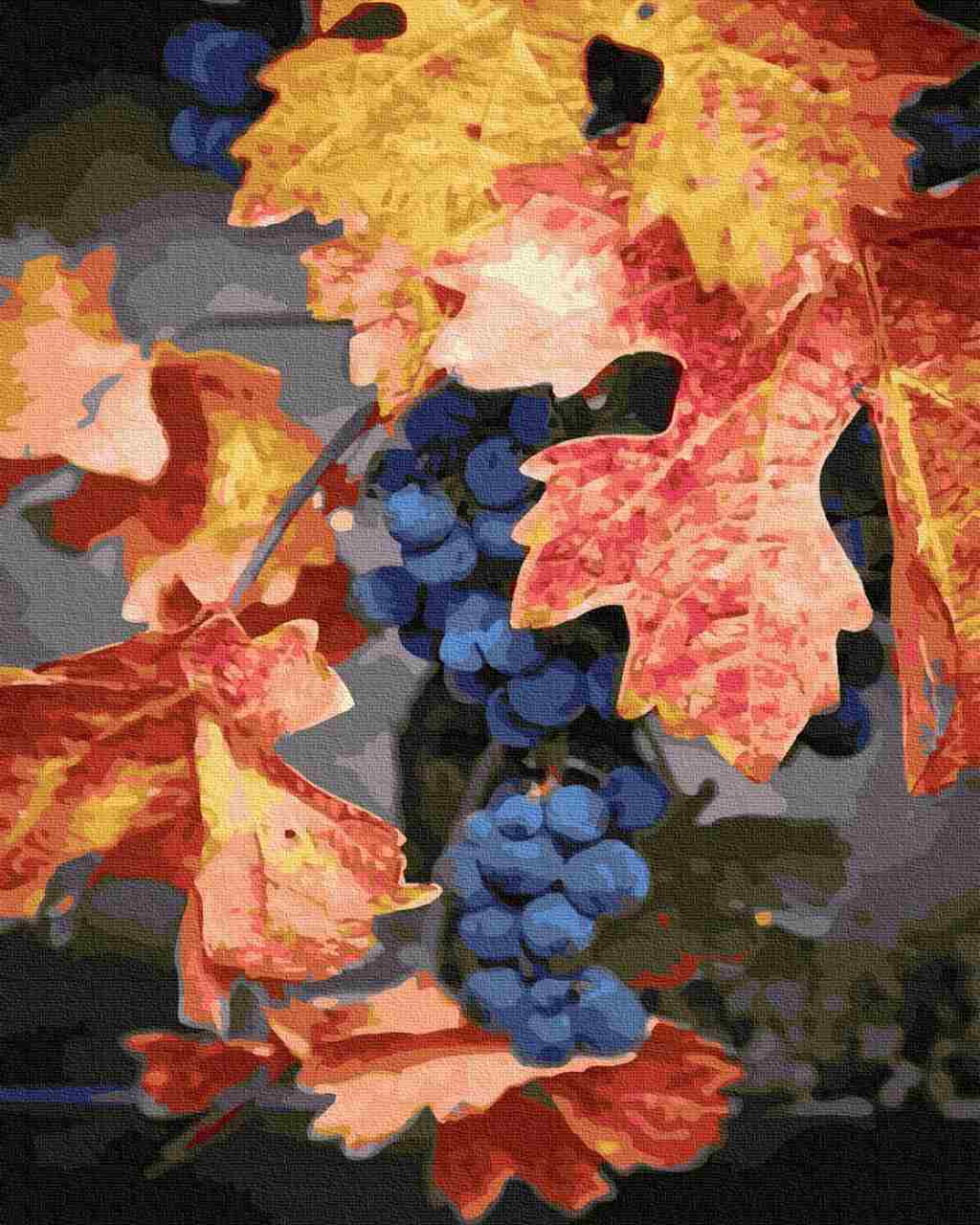 Paint by Numbers DIY - autumn grapes