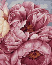 Load image into Gallery viewer, Paint by Numbers DIY - blooming peonies
