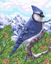 Load image into Gallery viewer, Paint by Numbers DIY - blue jay
