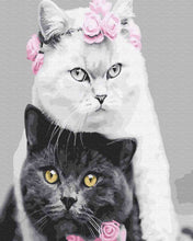 Load image into Gallery viewer, Paint by Numbers DIY - cat wedding
