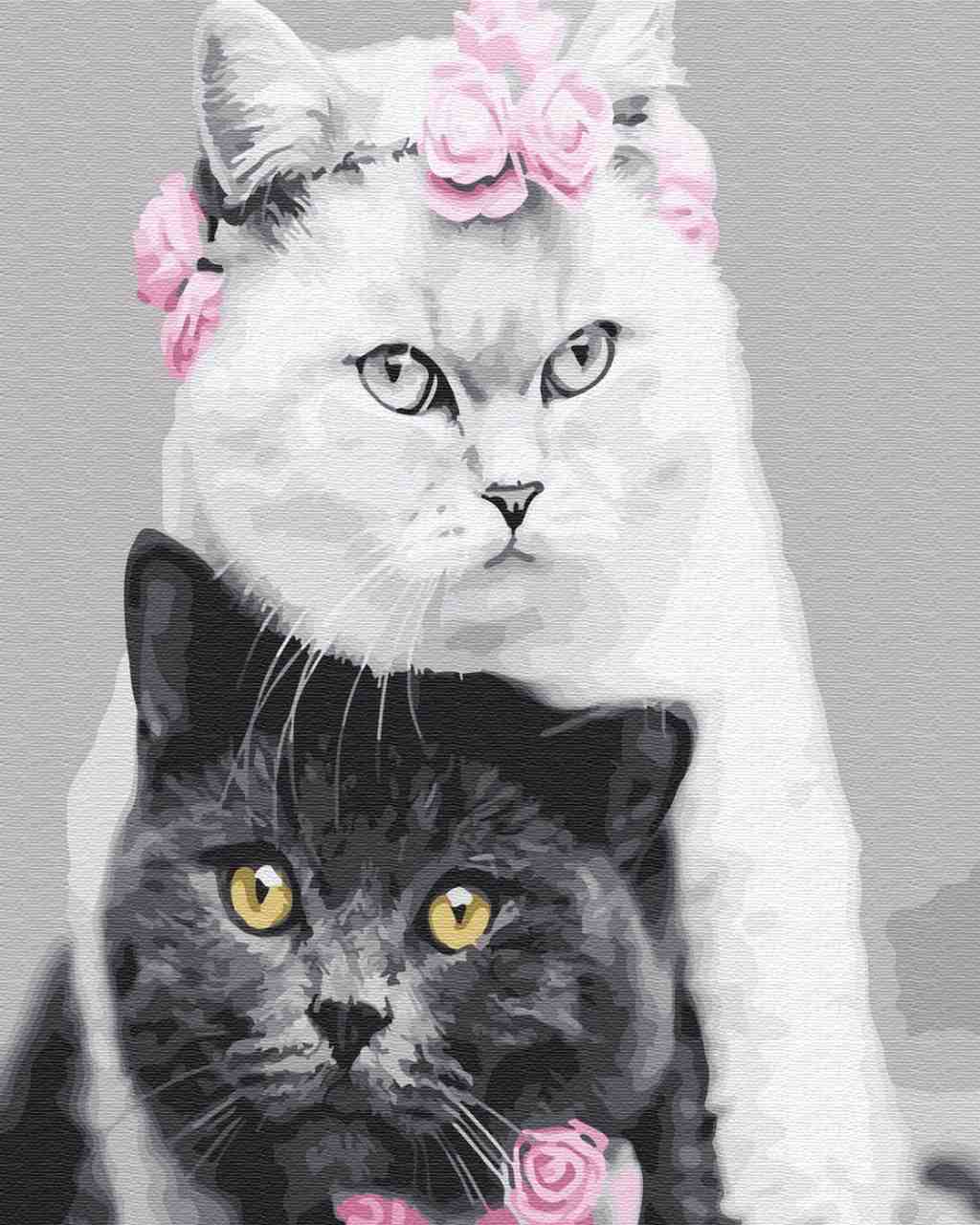Paint by Numbers DIY - cat wedding