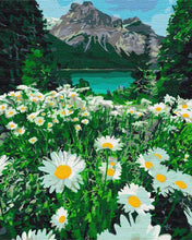 Load image into Gallery viewer, Paint by Numbers DIY - daisies at the mountains
