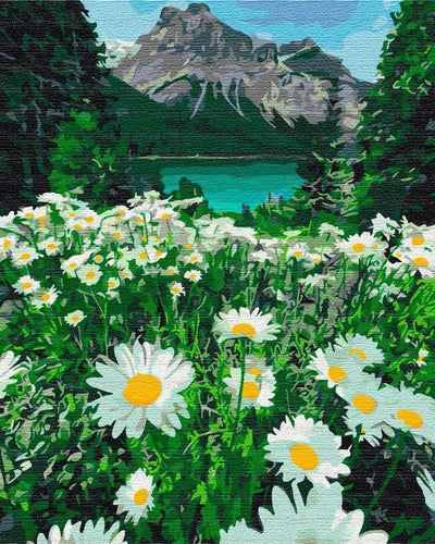 Paint by Numbers DIY - daisies at the mountains