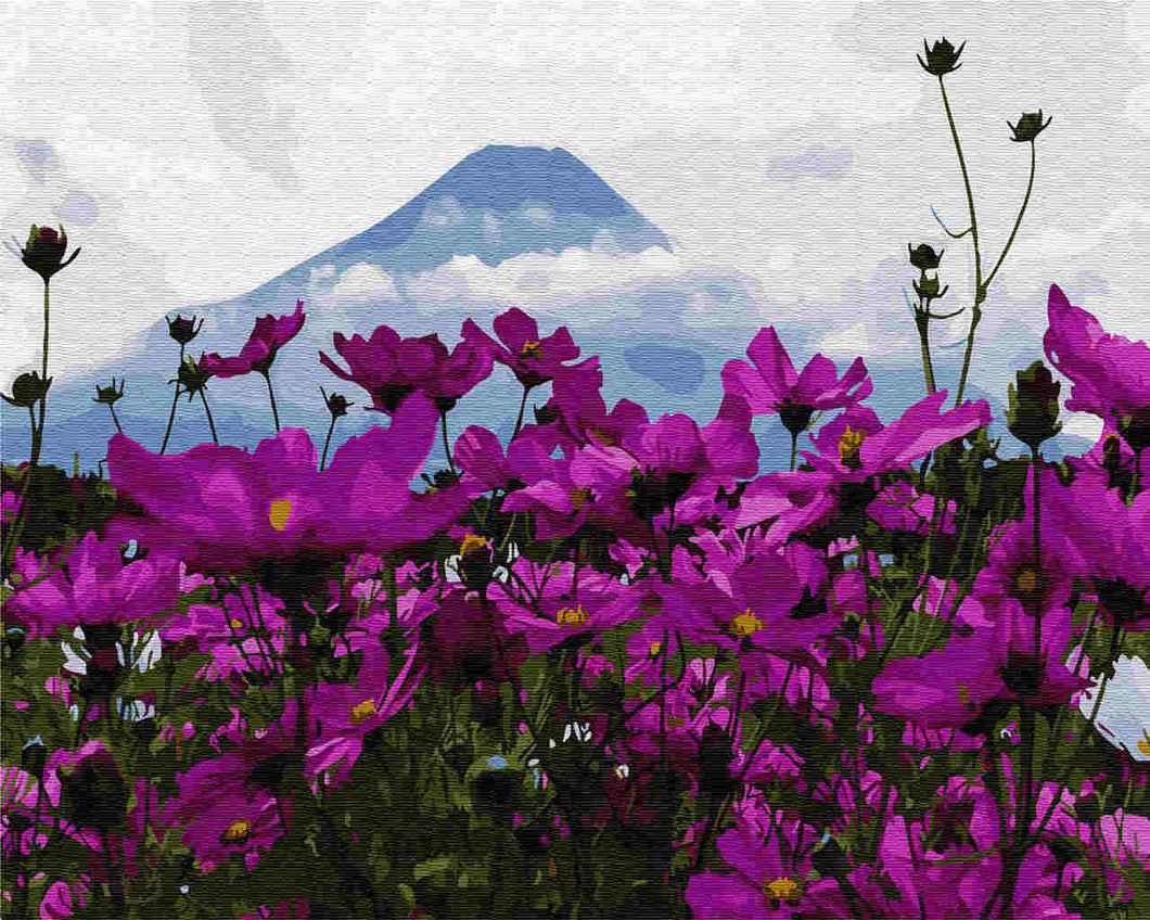 Paint by Numbers DIY - flowers on the mountain Fuji