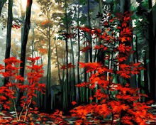 Load image into Gallery viewer, Paint by Numbers DIY - in the morning in the autumn forest
