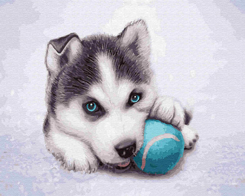 Paint by Numbers DIY - playful Husky