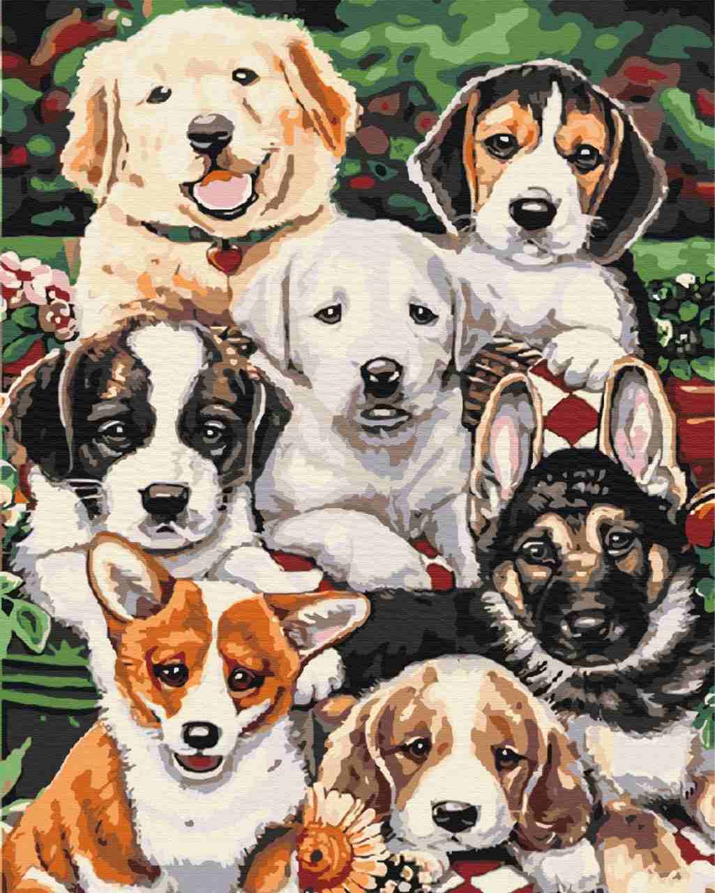 Paint by Numbers DIY - puppies