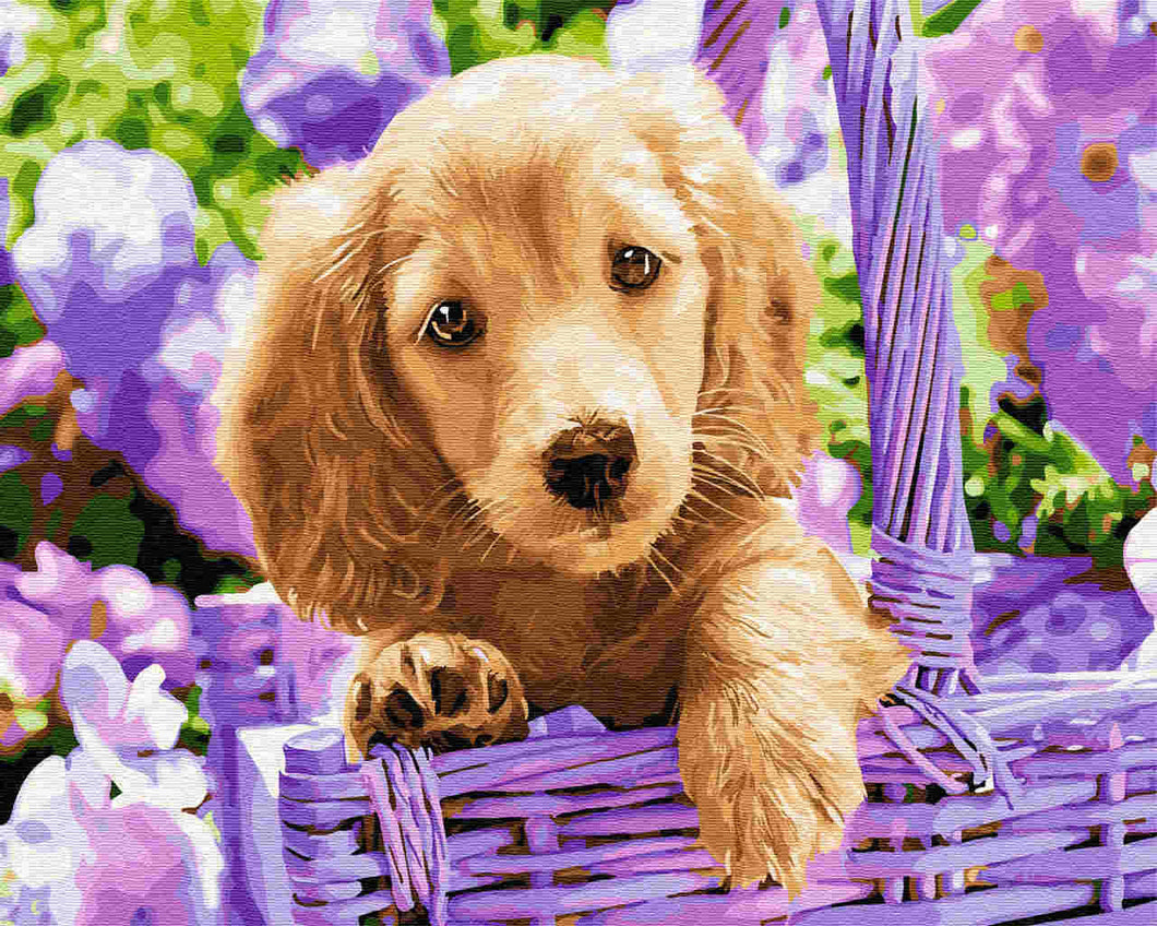 Paint by Numbers DIY - puppy dogs in the basket