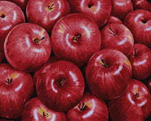 Load image into Gallery viewer, Paint by Numbers DIY - red apples
