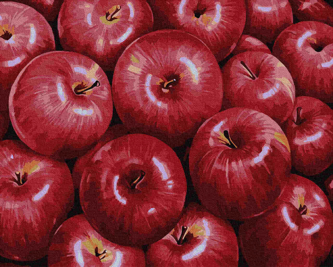 Paint by Numbers DIY - red apples