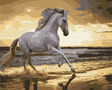 Load image into Gallery viewer, Paint by Numbers DIY - running in the trot on the coast
