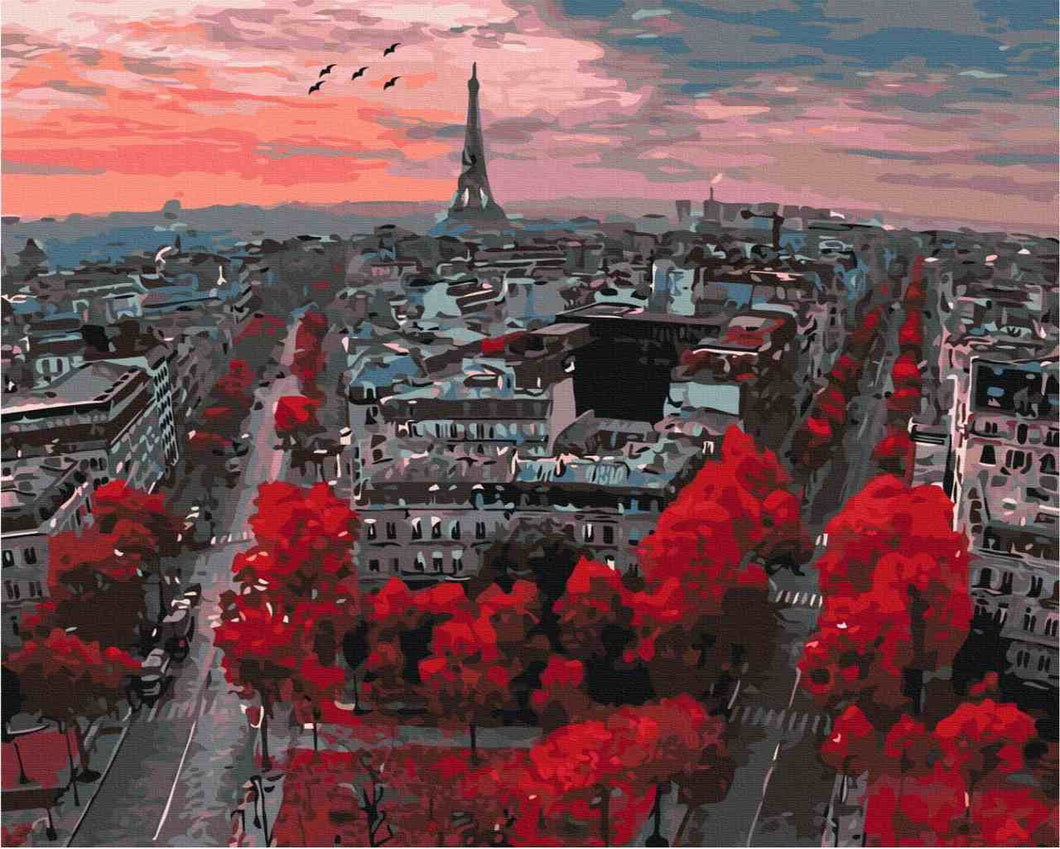 Paint by Numbers DIY - scarlet colors of Paris
