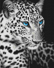 Load image into Gallery viewer, Paint by Numbers DIY - the blue-eyed leopard
