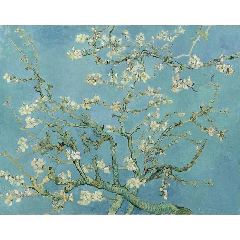 
(NEW) Paint by Numbers - Vincent Van Gogh - Blossoming Almond Tree