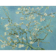Load image into Gallery viewer, (NEW) Paint by Numbers - Vincent Van Gogh - Blossoming Almond Tree
