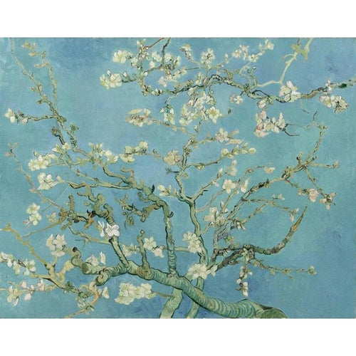 (NEW) Paint by Numbers - Vincent Van Gogh - Blossoming Almond Tree