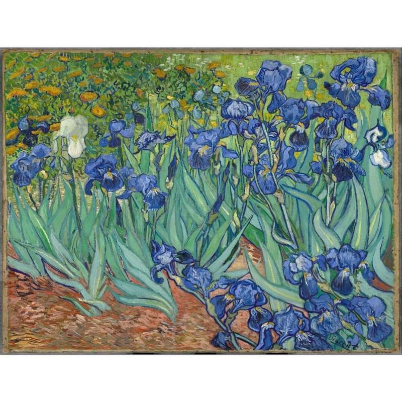 
(NEW) Paint by Numbers - Vincent Van Gogh - Irises