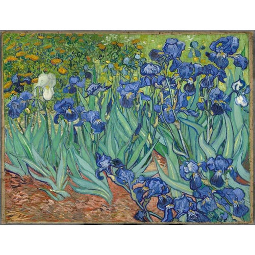 (NEW) Paint by Numbers - Vincent Van Gogh - Irises