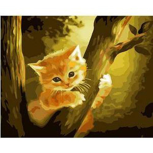 Paint by Numbers - Baby Cat on the Tree