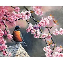 Load image into Gallery viewer, Paint by Numbers - Bird in Tree
