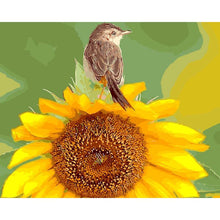 Load image into Gallery viewer, Paint by Numbers - Bird on Sunflower
