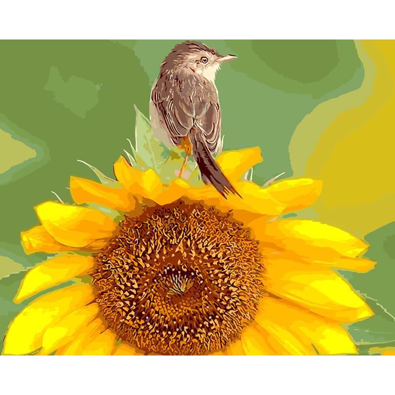 Paint by Numbers - Bird on Sunflower
