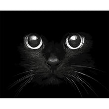 Load image into Gallery viewer, Paint by Numbers - Black Cat in Focus
