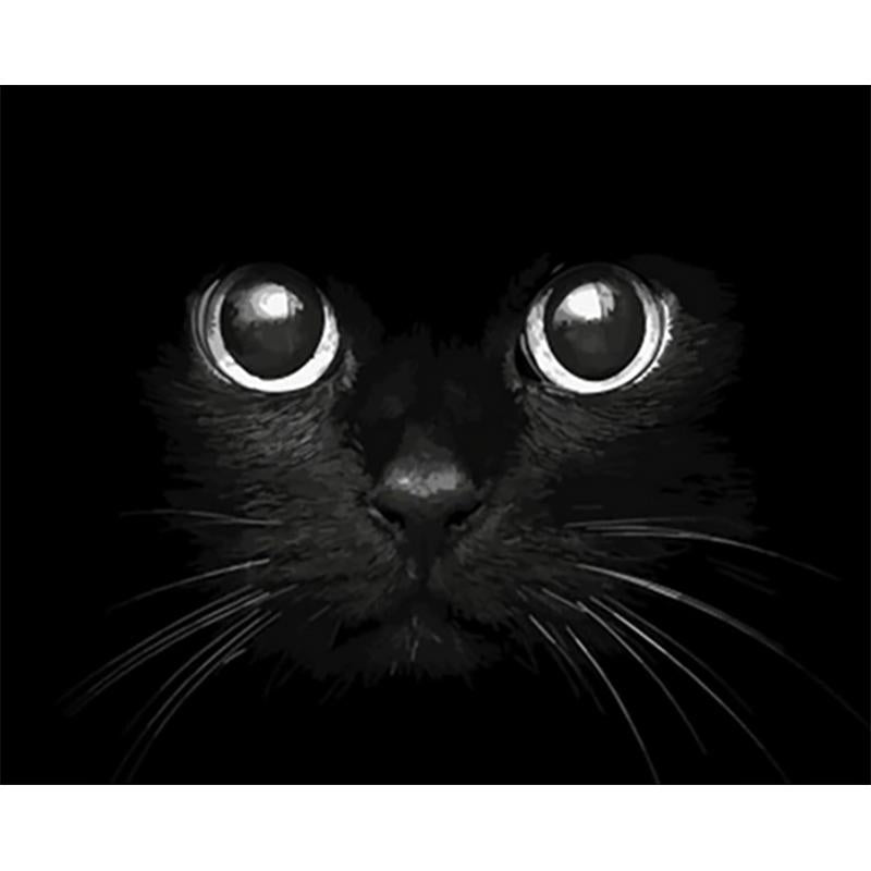 Paint by Numbers - Black Cat in Focus