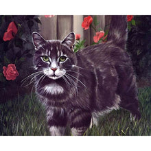 Load image into Gallery viewer, Paint by Numbers - Black Cat
