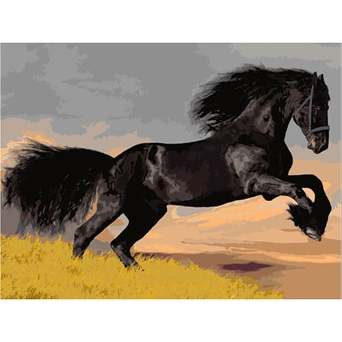 Paint by Numbers - Black Horse