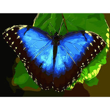 Load image into Gallery viewer, Paint by Numbers - Blue Butterfly
