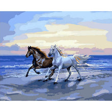 Load image into Gallery viewer, Paint by Numbers - Brown and White Horse
