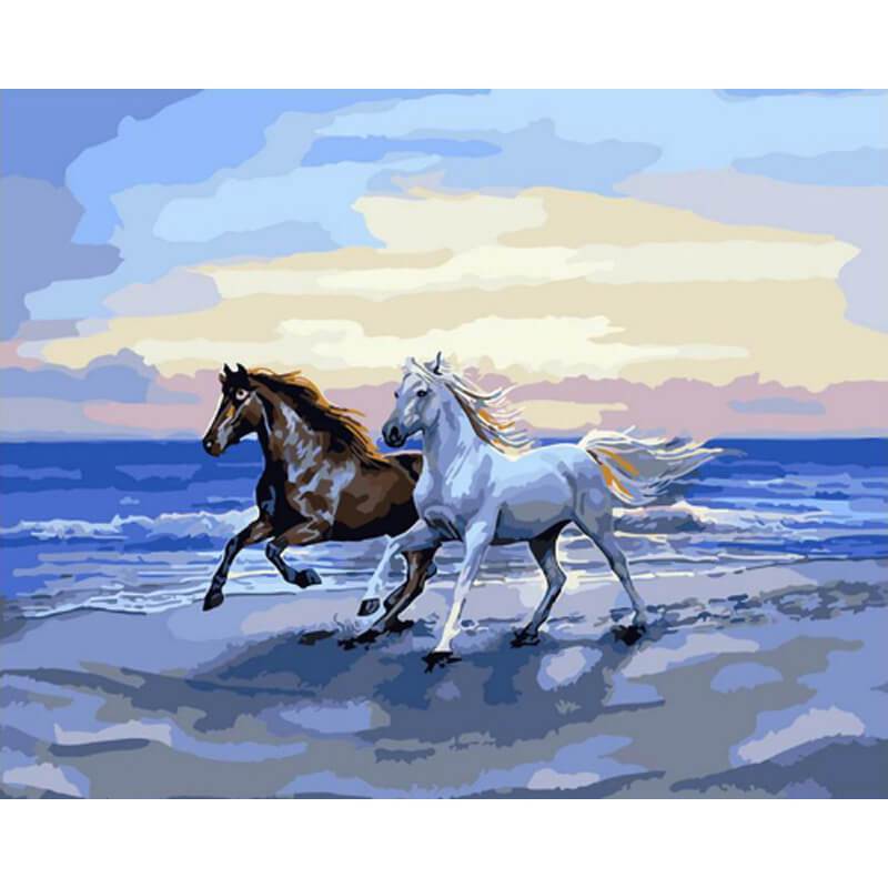 Paint by Numbers - Brown and White Horse