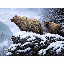 Load image into Gallery viewer, Paint by Numbers - Brown Bear in the Snow
