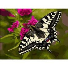Load image into Gallery viewer, Paint by Numbers- Butterfly on Flower

